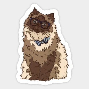 Finn Sticker